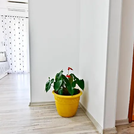 Peaceful Countryside With Terrace 아파트 우마그